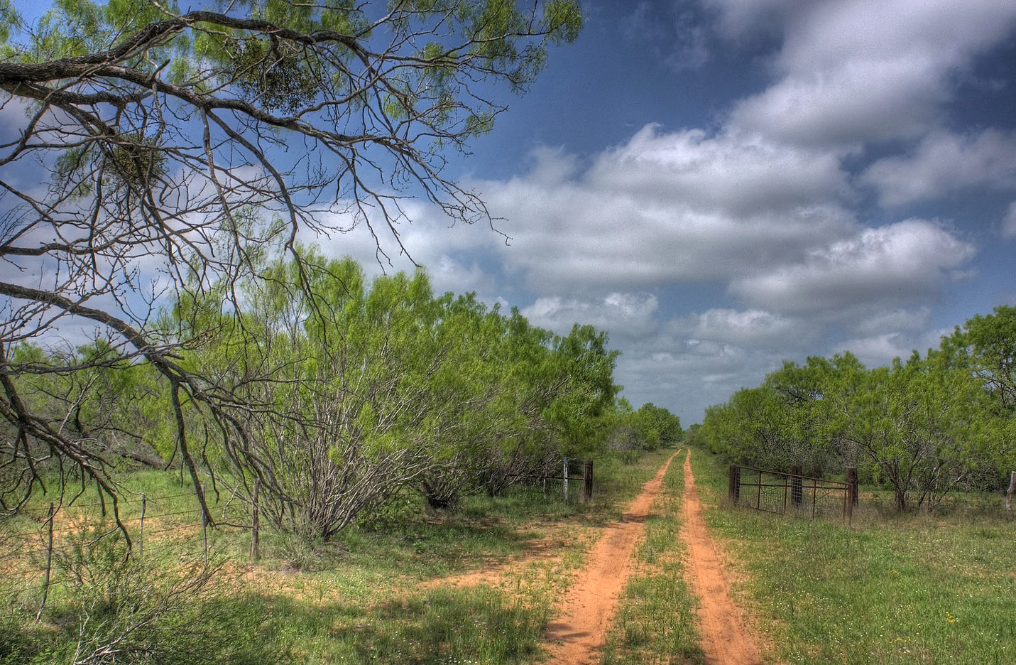 south texas hunting lease | CW